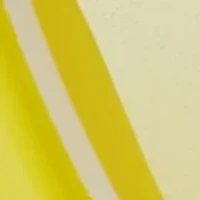 Lemon Slice Hand Soap