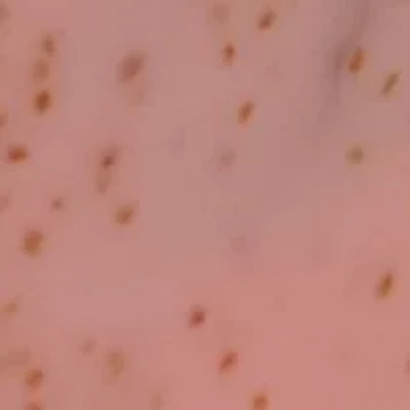 Watermelon Scented Body Scrub