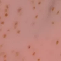 Watermelon Scented Body Scrub