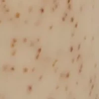 Coconut Vanilla Scented Body Scrub