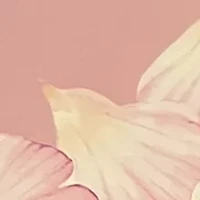 Luxury Hand Cream Collection Set