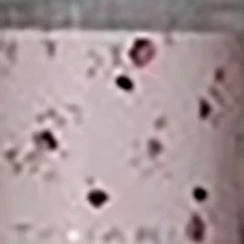 Tahari 4 Piece Lotion Set