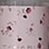 Tahari 4 Piece Lotion Set