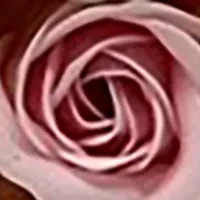 Flowers Soap & Lotion