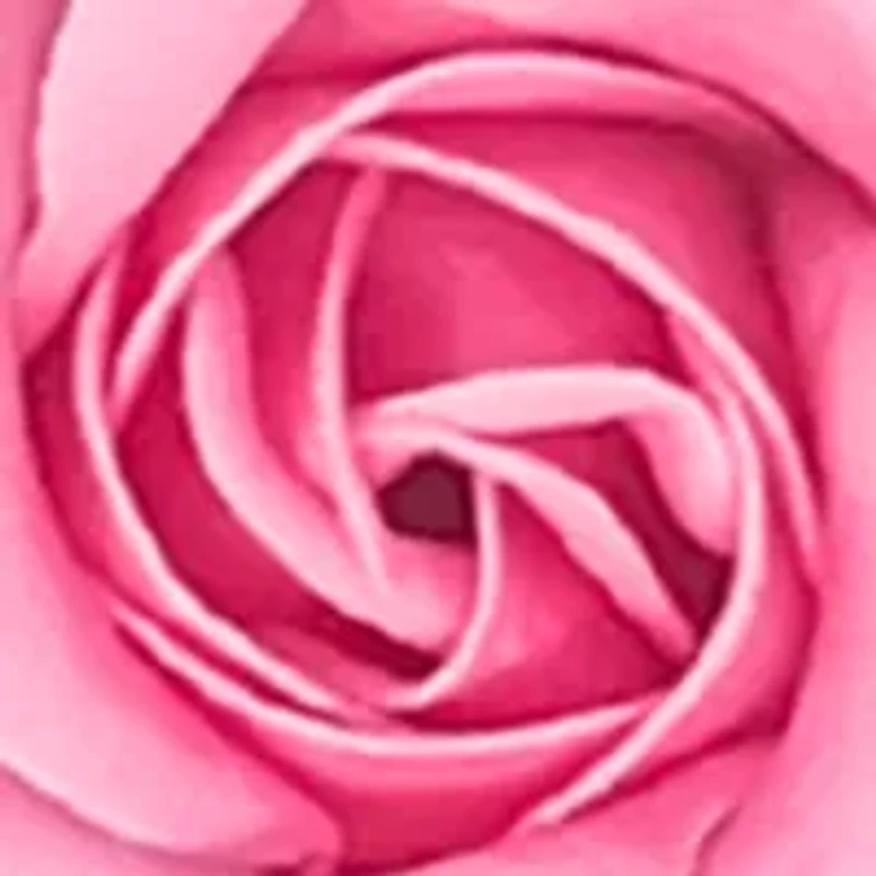 Soap/Lotion - Sparkle 