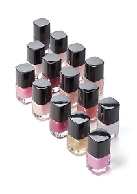 14 Piece Nail Polish Collection