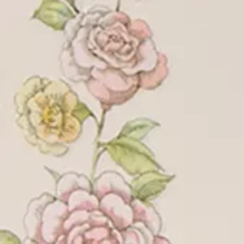 6-Piece Nail Polish Collection 