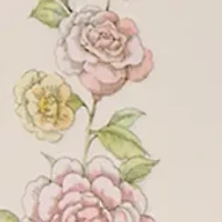 6-Piece Nail Polish Collection 