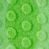 Big Ceramic Foot File