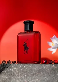 Polo Red Men by Ralph Lauren Eau de Toilette Spray 