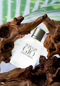 Acqua Di Gio Men by Giorgio Armani Eau de Toilette Spray