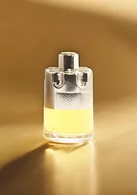 Wanted Mens Set - $190 Value!