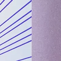 Star Dust Body Moisturizer 