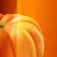 Spiced Pumpkin Pie Body Moisturizer