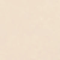 Charcoal Rose Signature Jar Candle