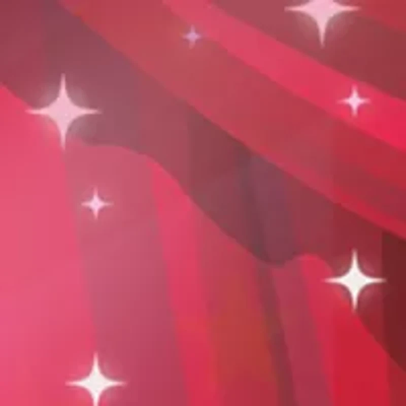 6 Piece Illusionist Brush Set