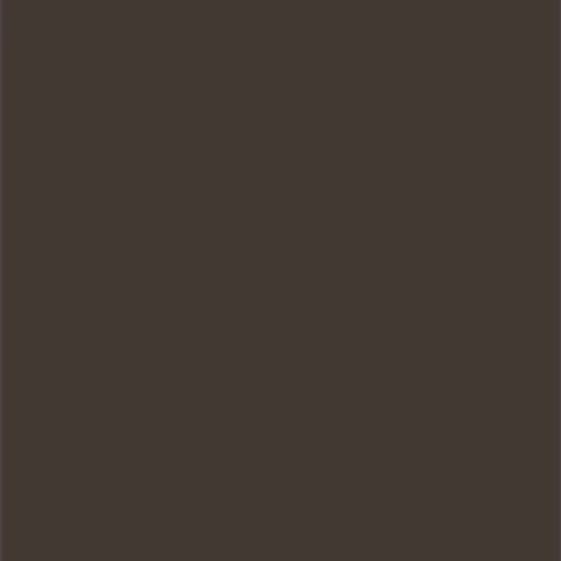 Volumizing Tinted Brow Gel