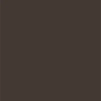 Volumizing Tinted Brow Gel