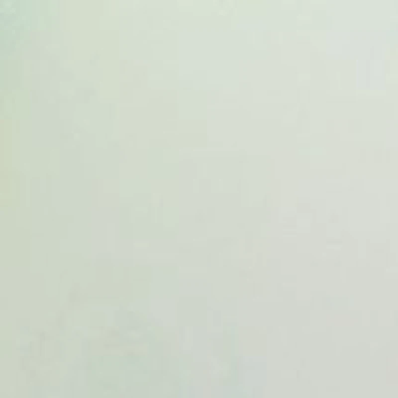 Mani Moments Duo Green Tea Detox