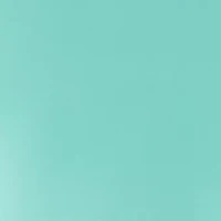 Pure Silk Queen Pillowcase with Scalloped Edge