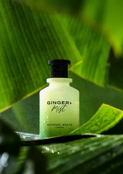 Ginger  + Mist Gift Set