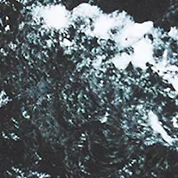 Ocean Noir Gift Set