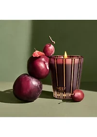 Autumn Plum Classic Candle