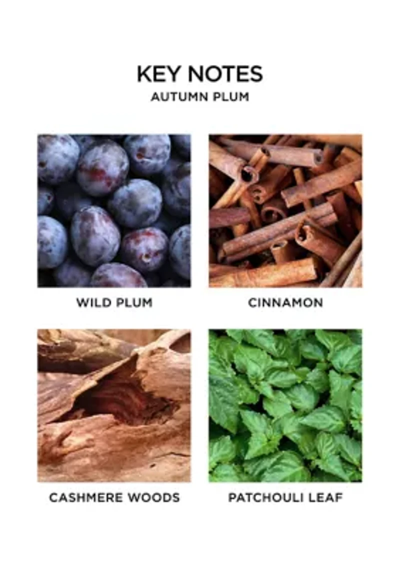 Autumn Plum Classic Candle