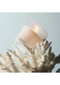 Ocean Mist  Sea Salt Classic Candle