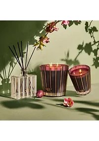 Autumn Plum 3-Wick Candle