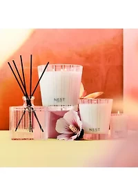 Something Tropical 3-Wick Candle