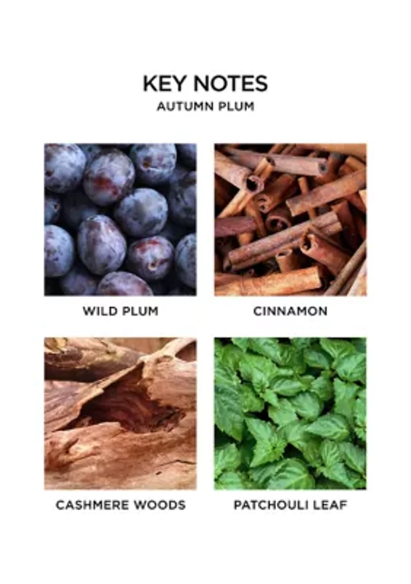 Autumn Plum Reed Diffuser