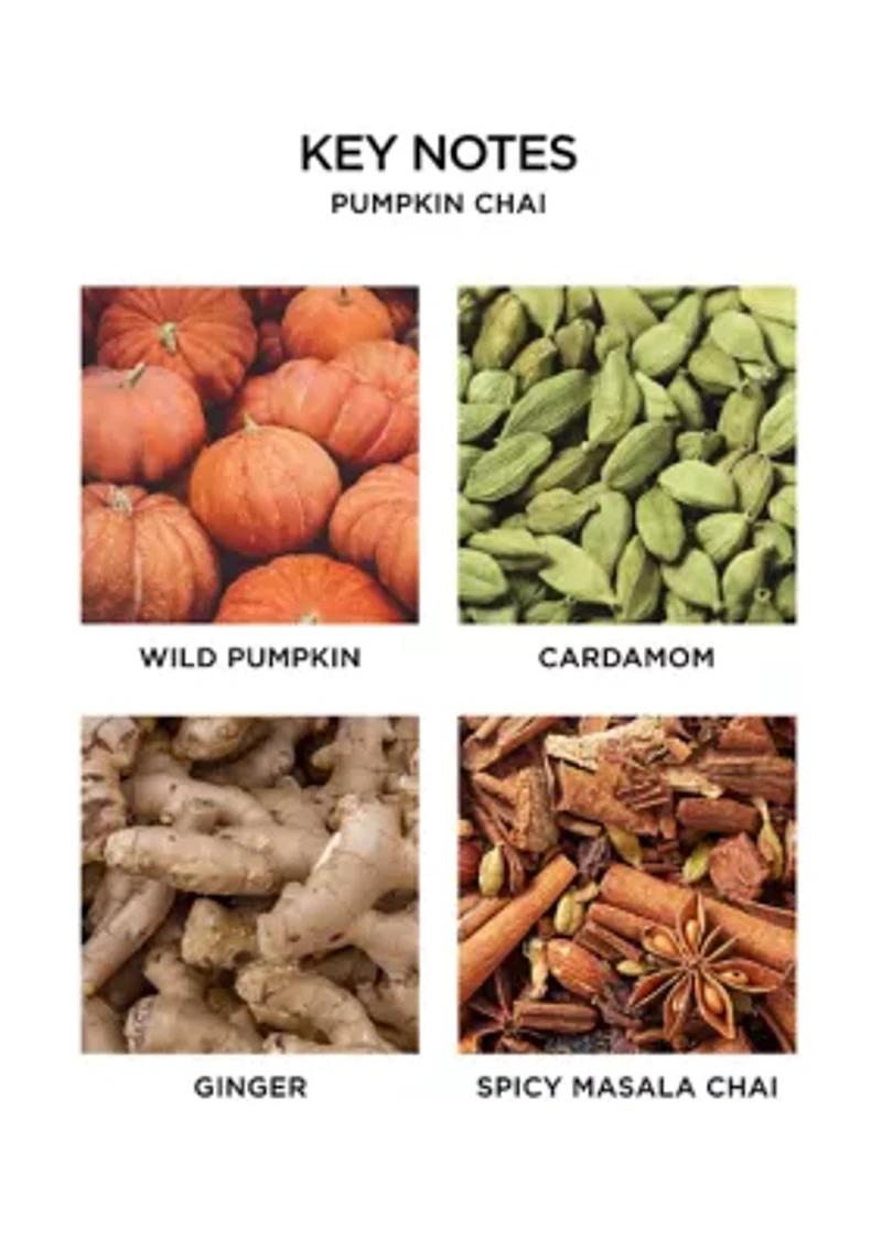 Pumpkin Chai Reed Diffuser