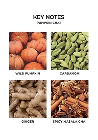 Pumpkin Chai Reed Diffuser