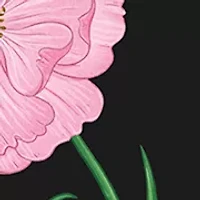 Lychee Rose Eau De Parfum