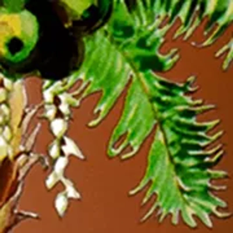 Balinese Coconut Perfume Oil Body Mist