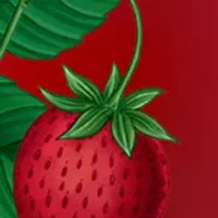Santa Barbara Strawberry Perfume Oil Body Mist