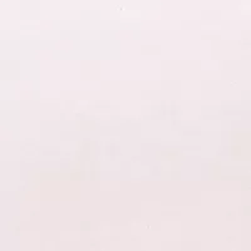 Himalayan Salt & Rosewater Decorative Reed Diffuser