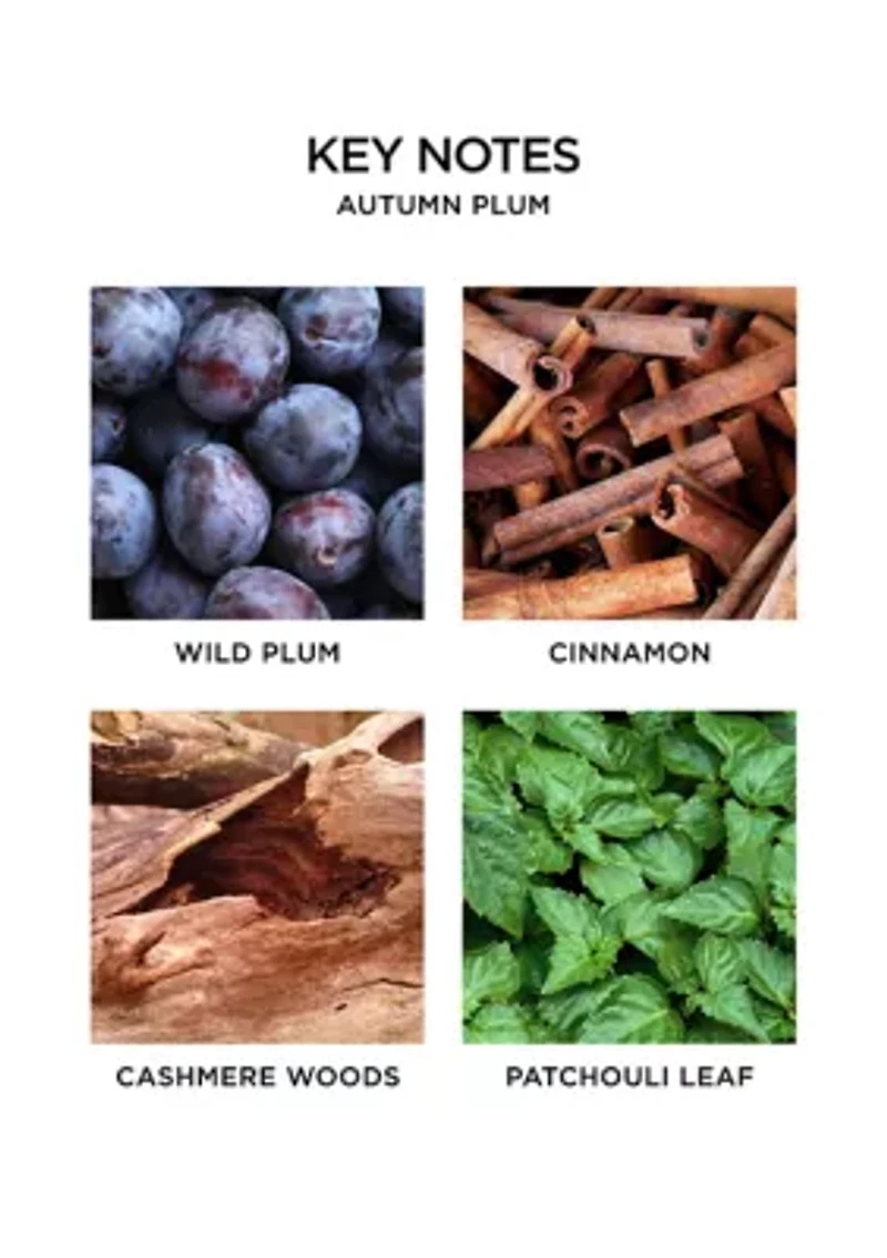 Autumn Plum Luxury Candle