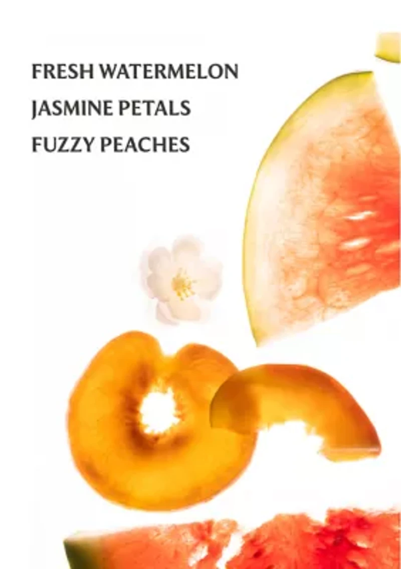 Power Mist Hydrating Hand Sanitizer - Wild Watermelon