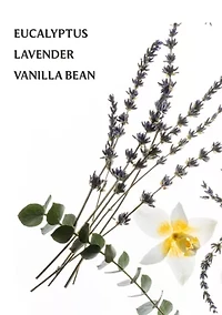 Power Mist Hydrating Hand Sanitizer Pure Lavender