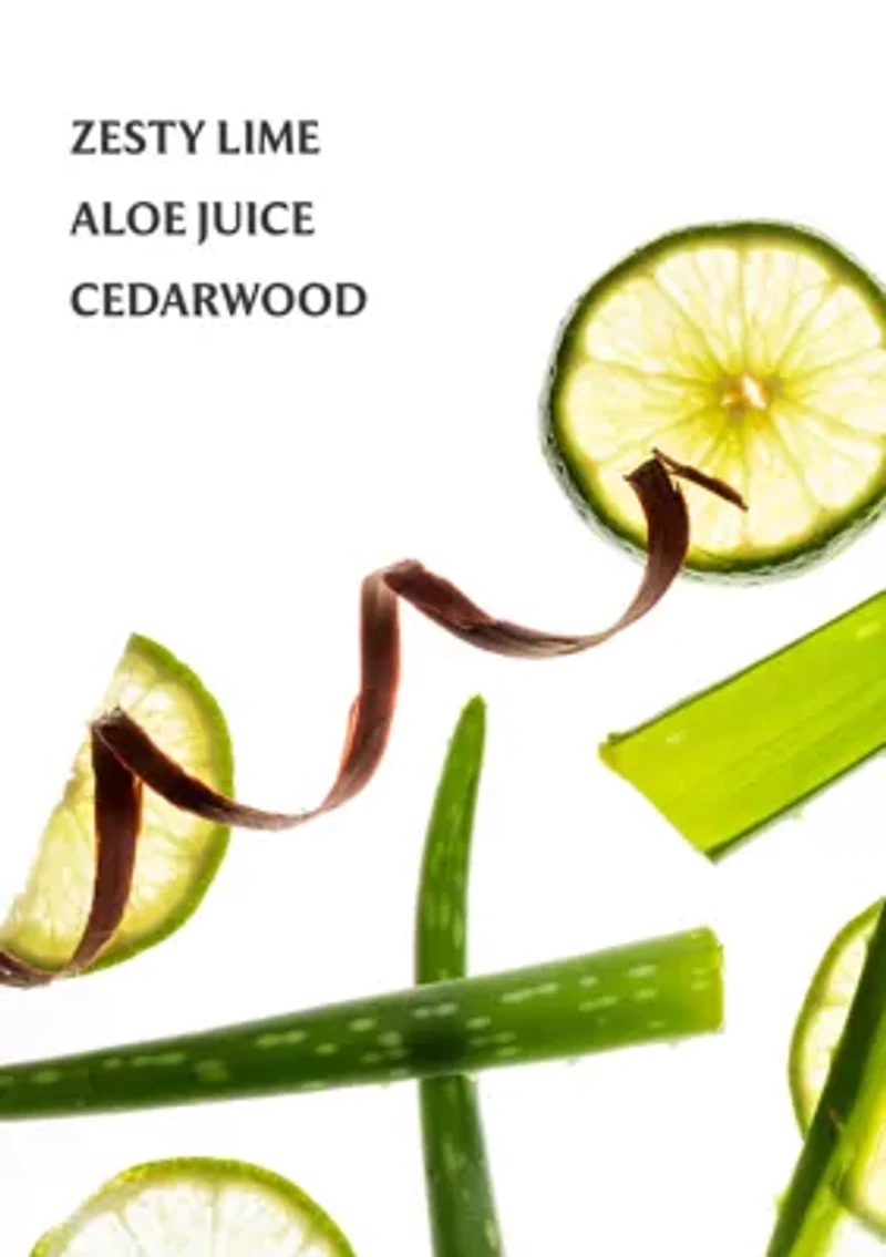 Power Mist Hydrating Hand Sanitizer - Aloe You