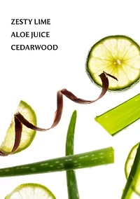 Power Mist Hydrating Hand Sanitizer - Aloe You