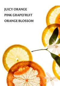 Power Mist Hydrating Hand Sanitizer - Citrus Grove