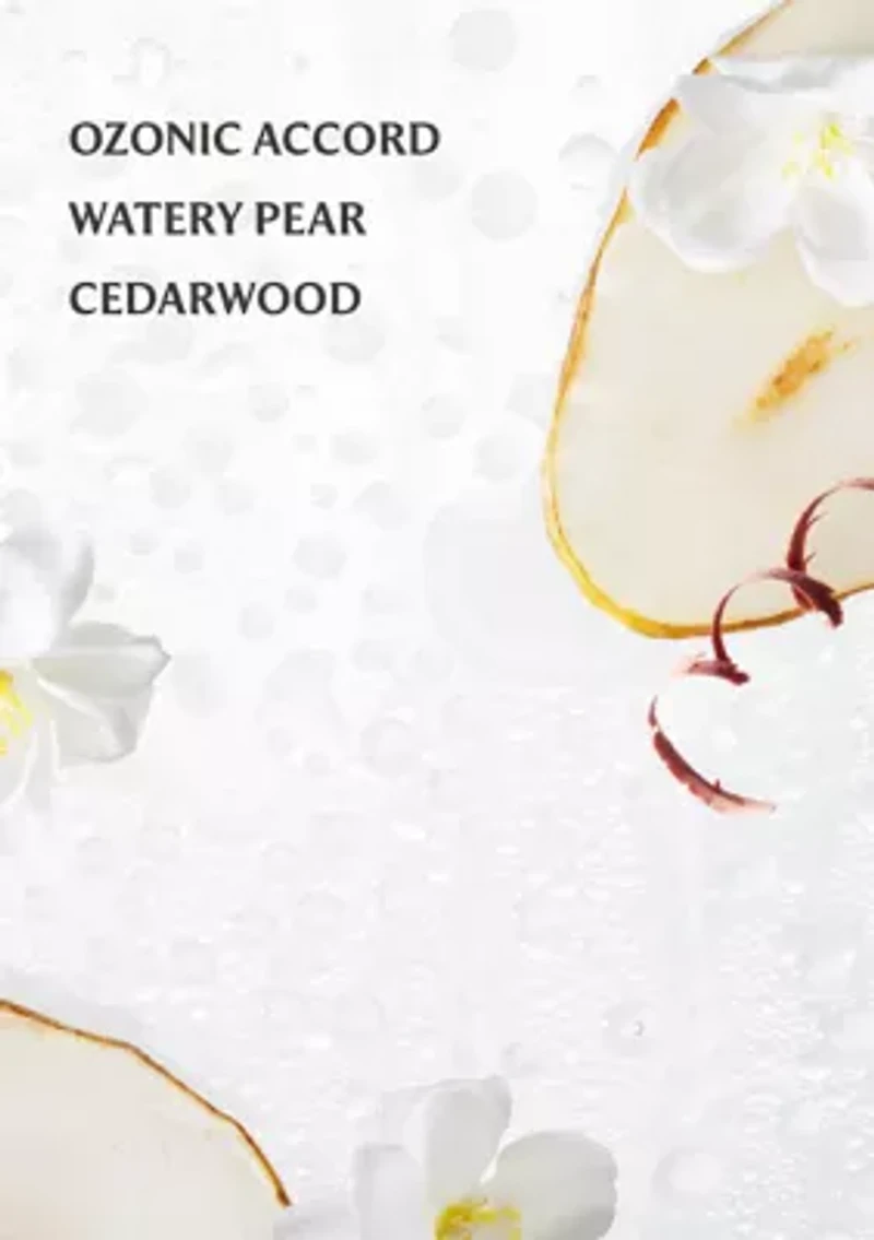 Power Mist Hydrating Hand Sanitizer - Rainwater