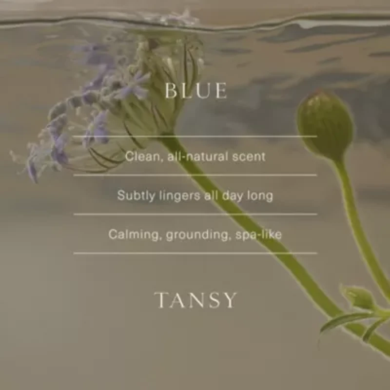 Luminous Body Lotion