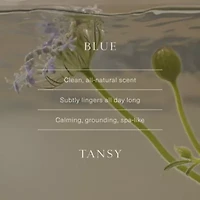 Luminous Body Lotion