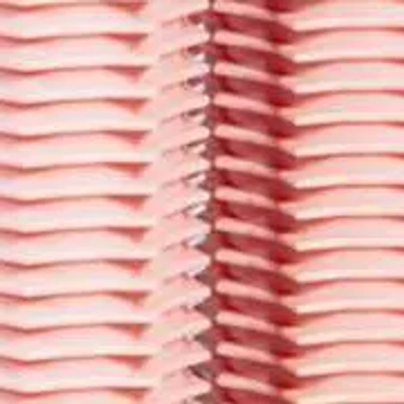 Ion Hot Rollers