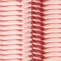 Ion Hot Rollers