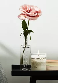 Otto Candle